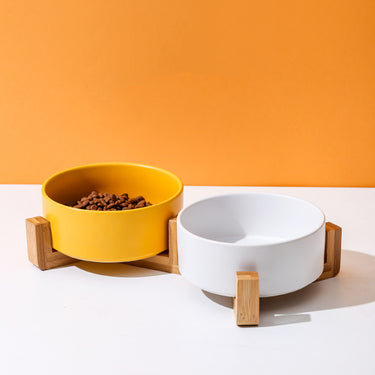 Ceramic Double Bowl Set for Pets